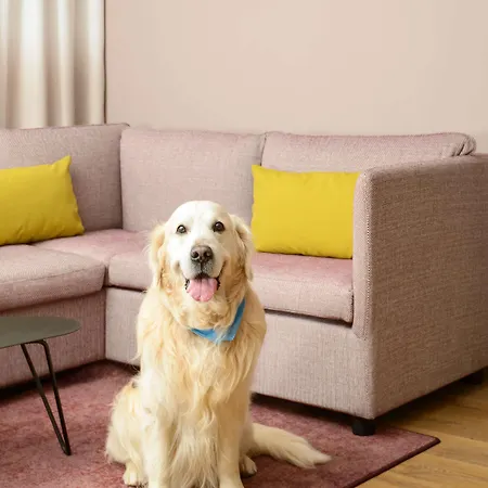 Otel Hyatt House Paris Charles De Gaulle Airport Roissy-en-France